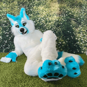 Buy Siberian Husky Fursuit Mask online